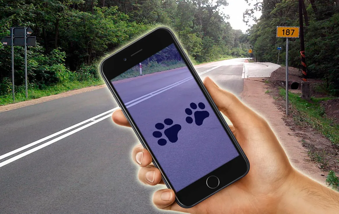 Find Footprints In Your Room (