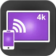 Screen Mirroring for Roku Cast