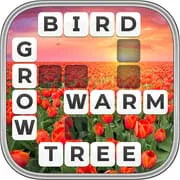 Word Wiz - Connect Words Game