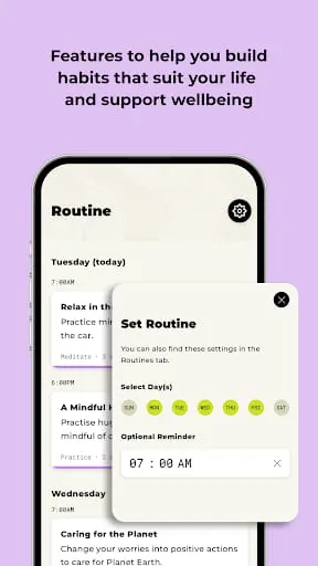 Smiling Mind: Mental Wellbeing