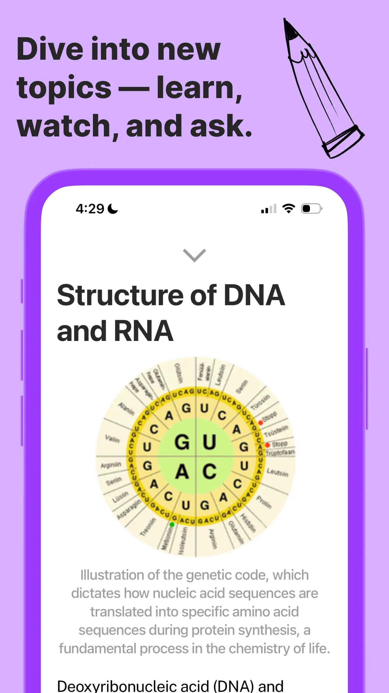 Sizzle - Learn Anything