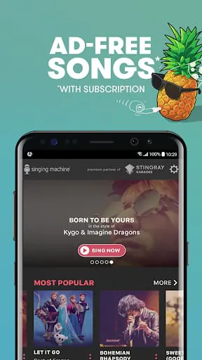 Singing Machine Karaoke