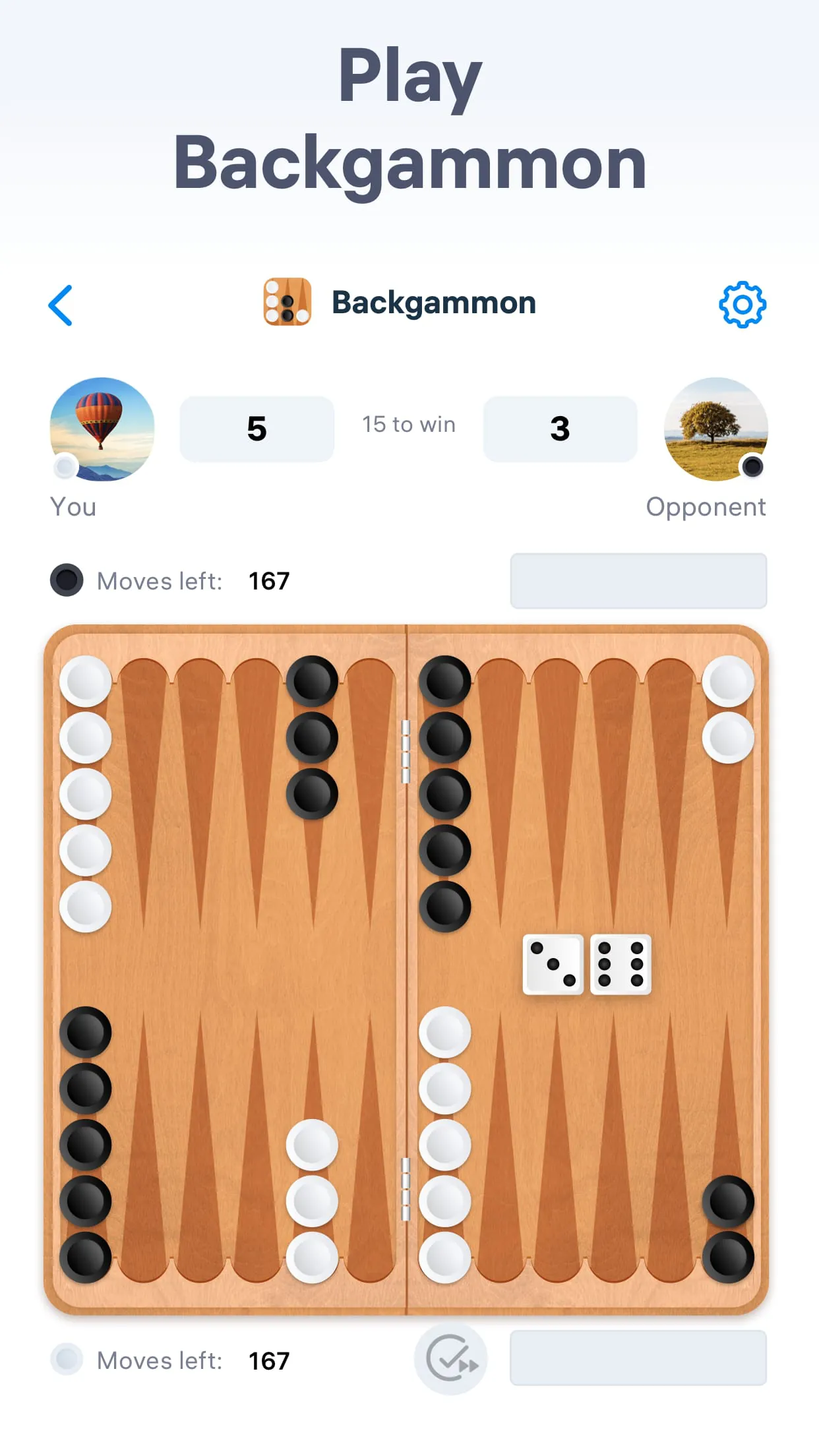 Backgammon - Board Game