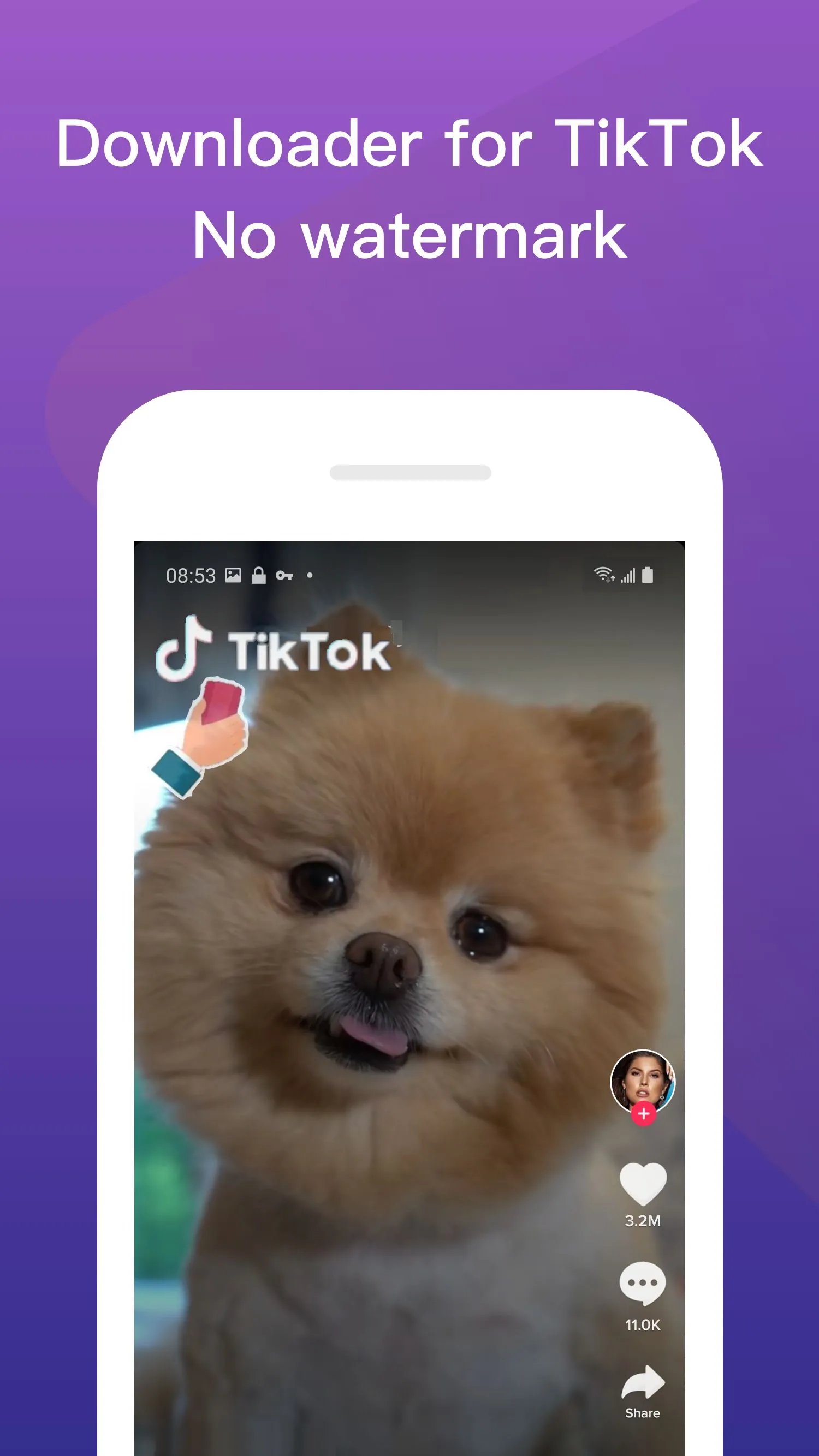 Video & Music Downloader