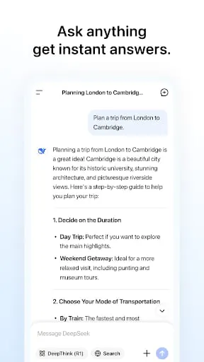 DeepSeek - AI Assistant