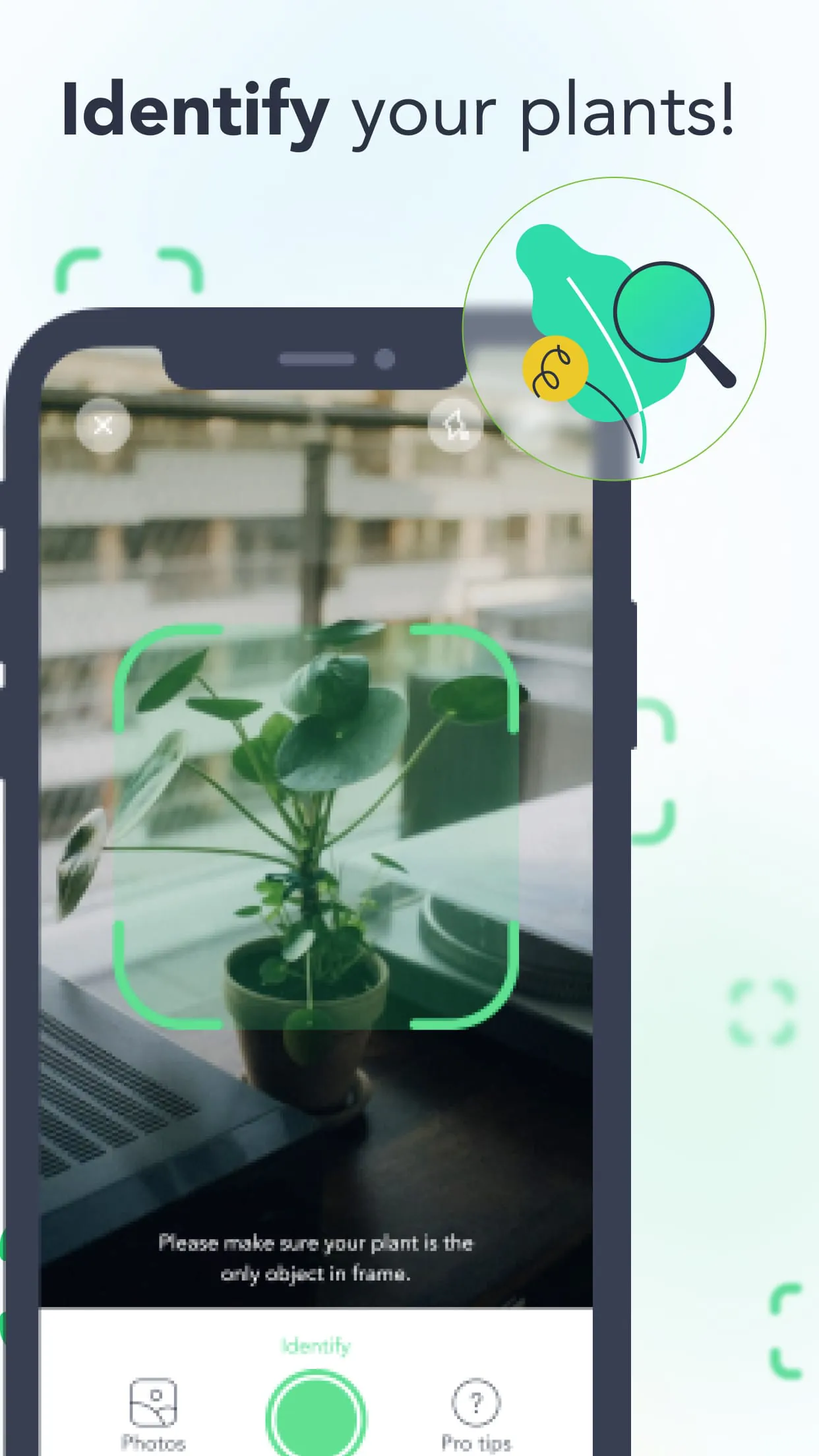 Flora: Plant Care & Identifier