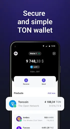 Tonhub — TON wallet