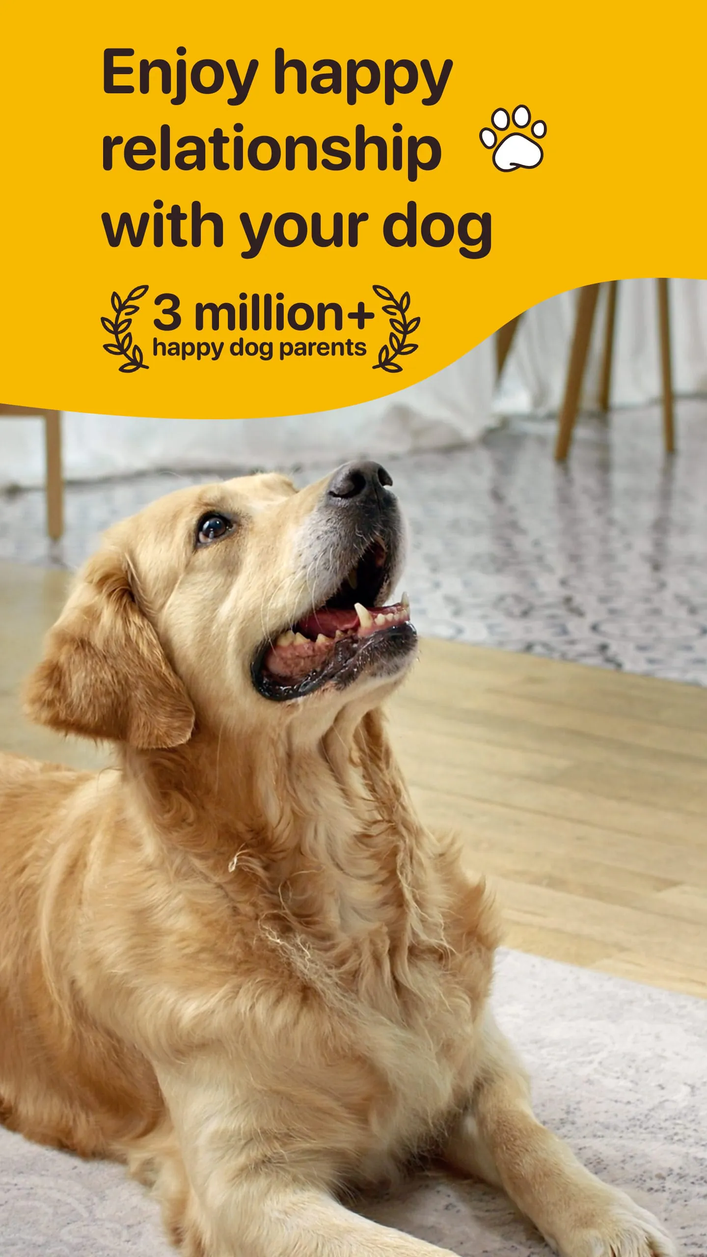 Woofz - Puppy and Dog Training