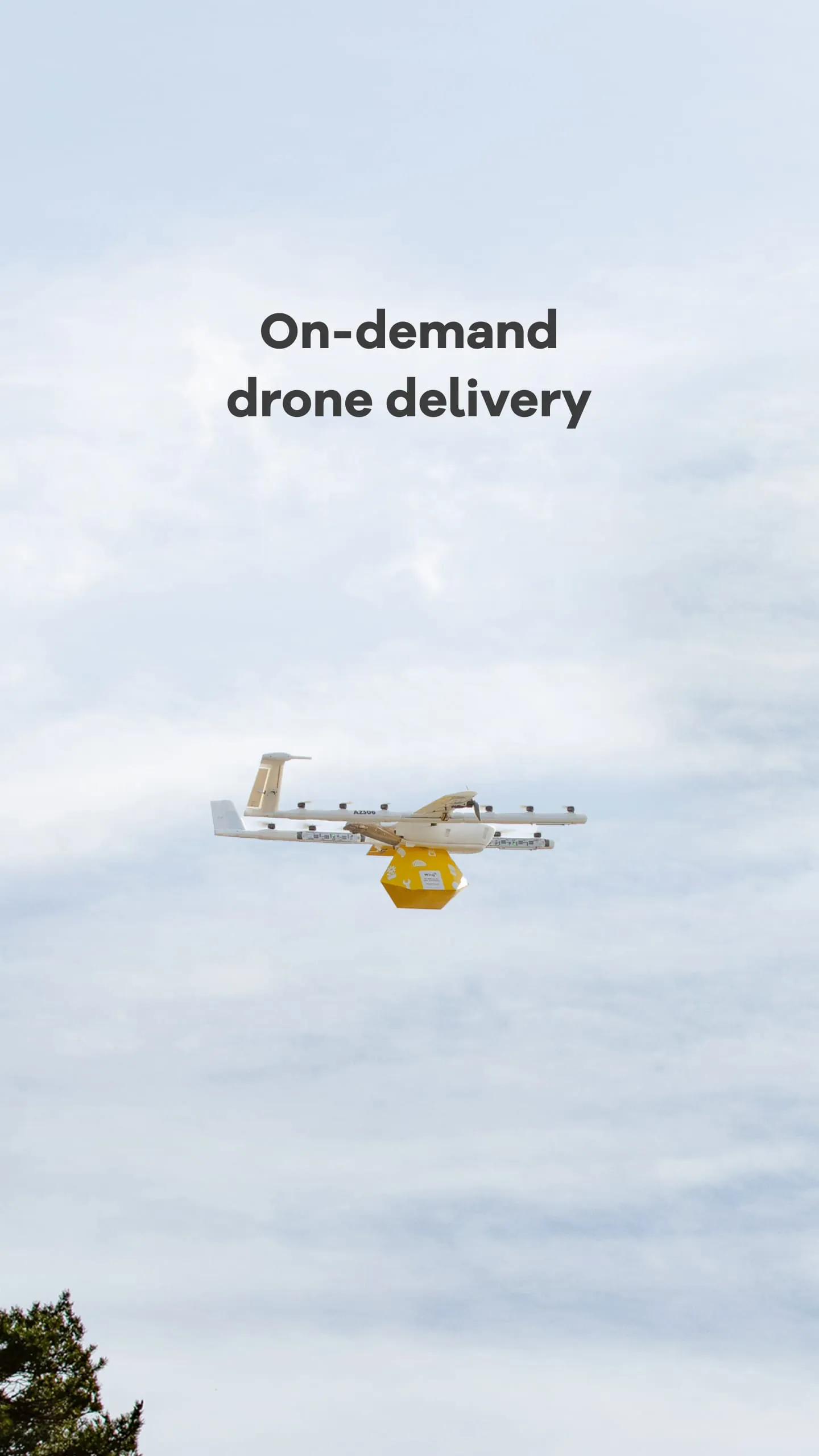 Wing - Drone delivery