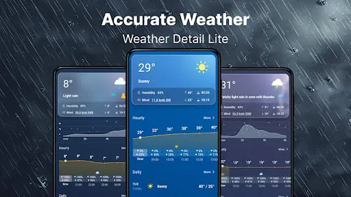 Weather Forecast- Live Weather