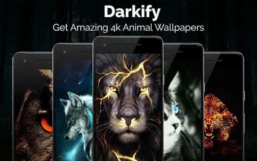 Black Wallpaper: Darkify