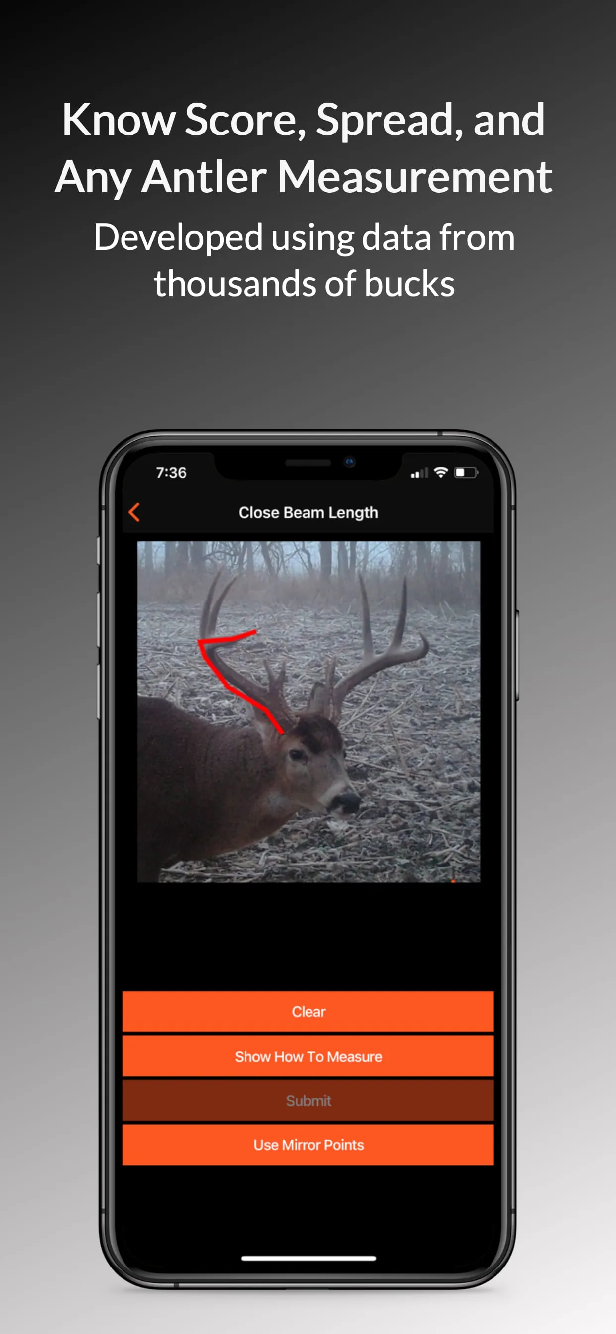 BuckScore with AntlerAI