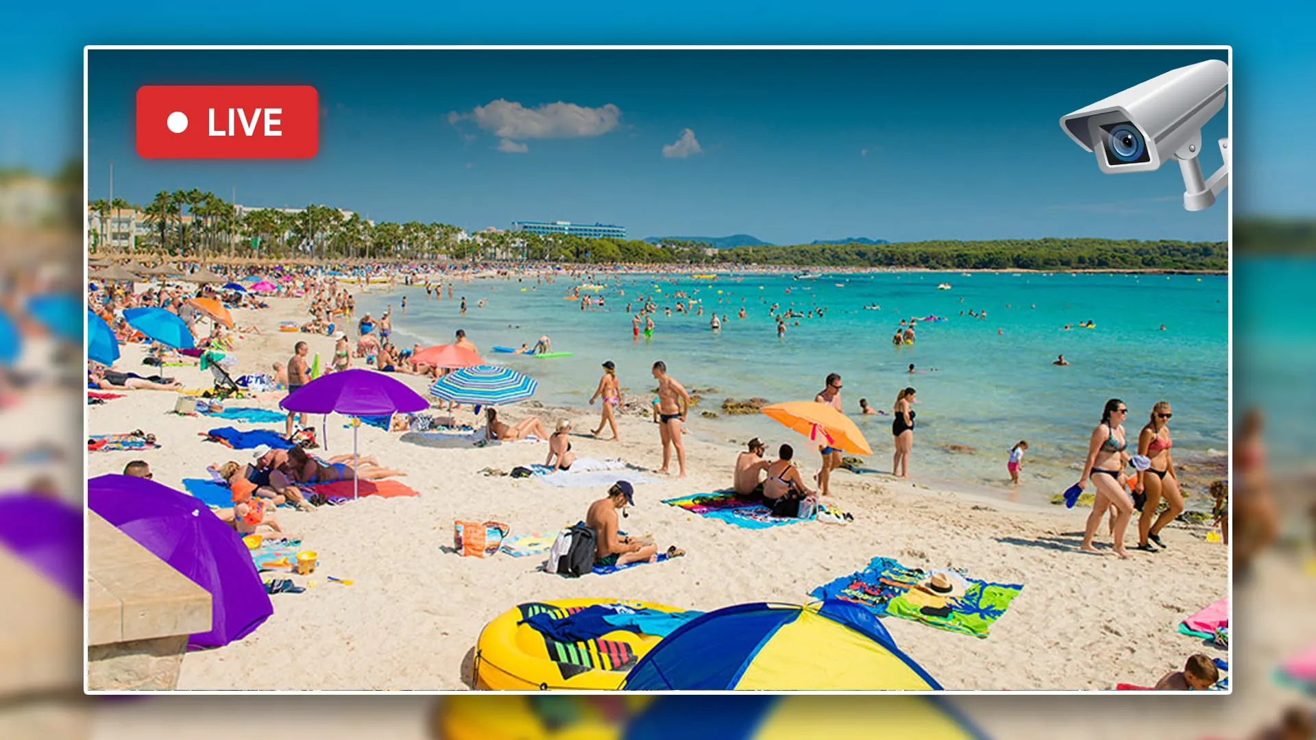 Live Camera - Street View