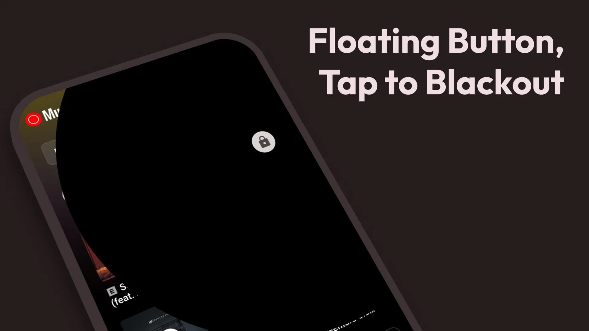 Black Screen: video screen off