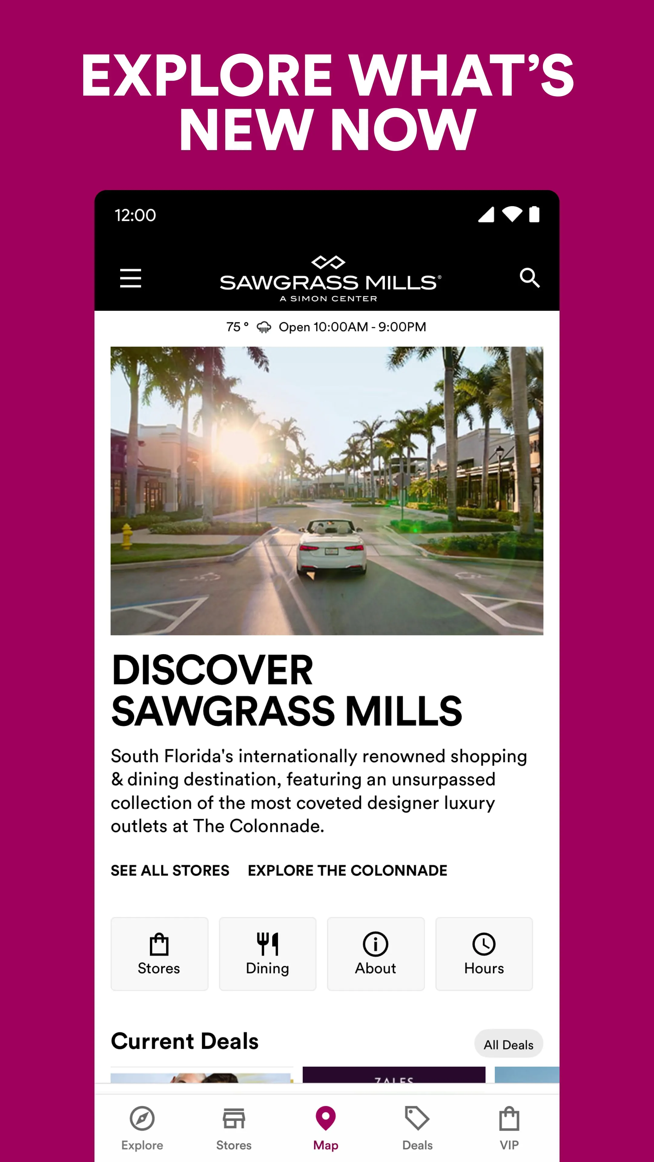 SIMON - Malls, Mills & Outlets