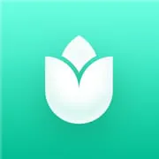 PlantIn Plant Identifier, Care