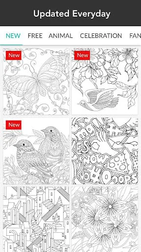 Colorfit: Drawing & Coloring