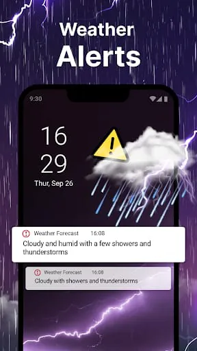 Weather Forecast - Live Radar