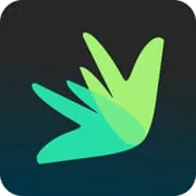 Dovly: Grow your Credit Score