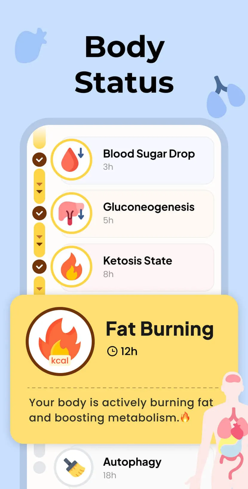 Fasting - Intermittent Fasting