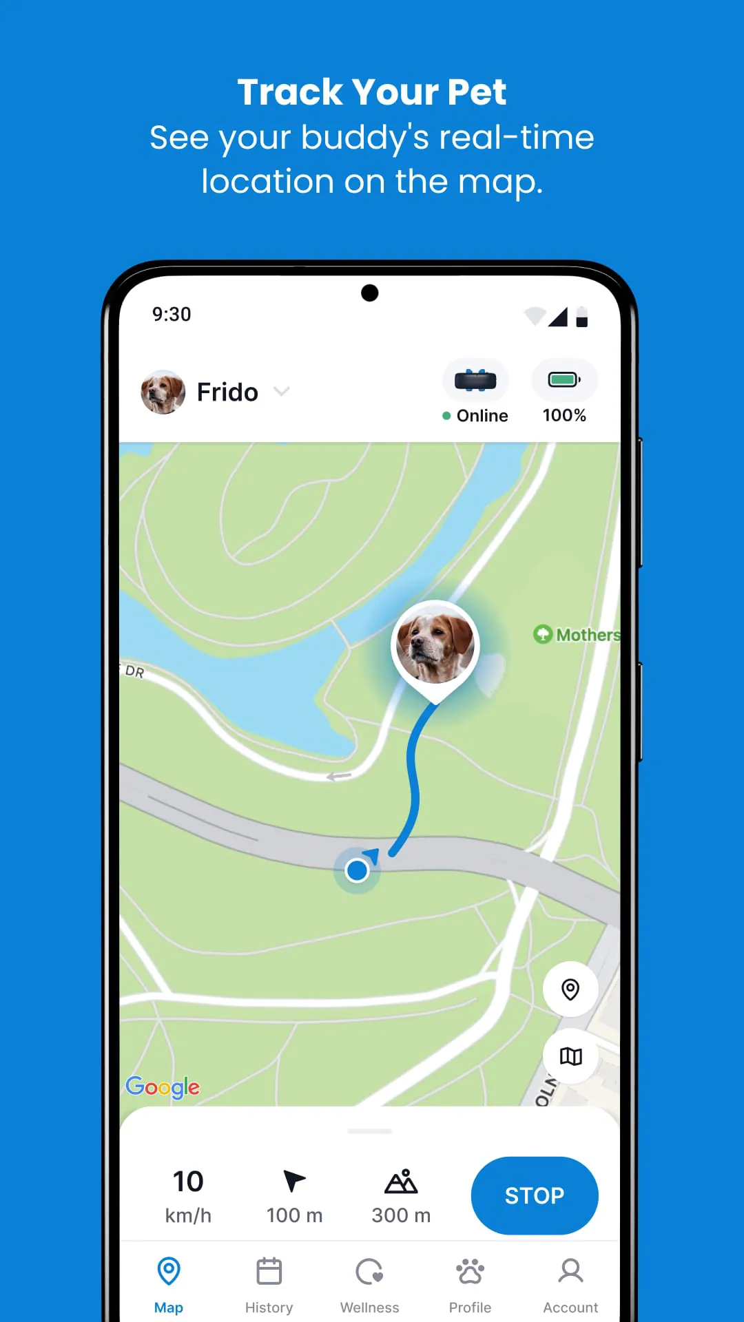 Tractive GPS for Cats & Dogs