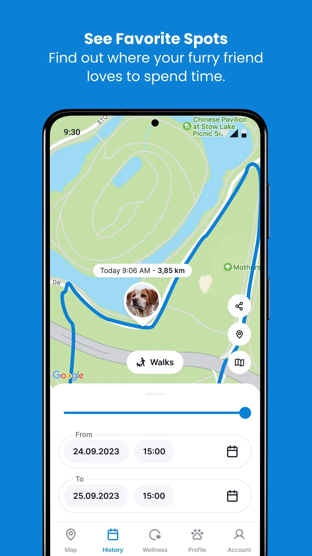 Tractive GPS for Cats & Dogs
