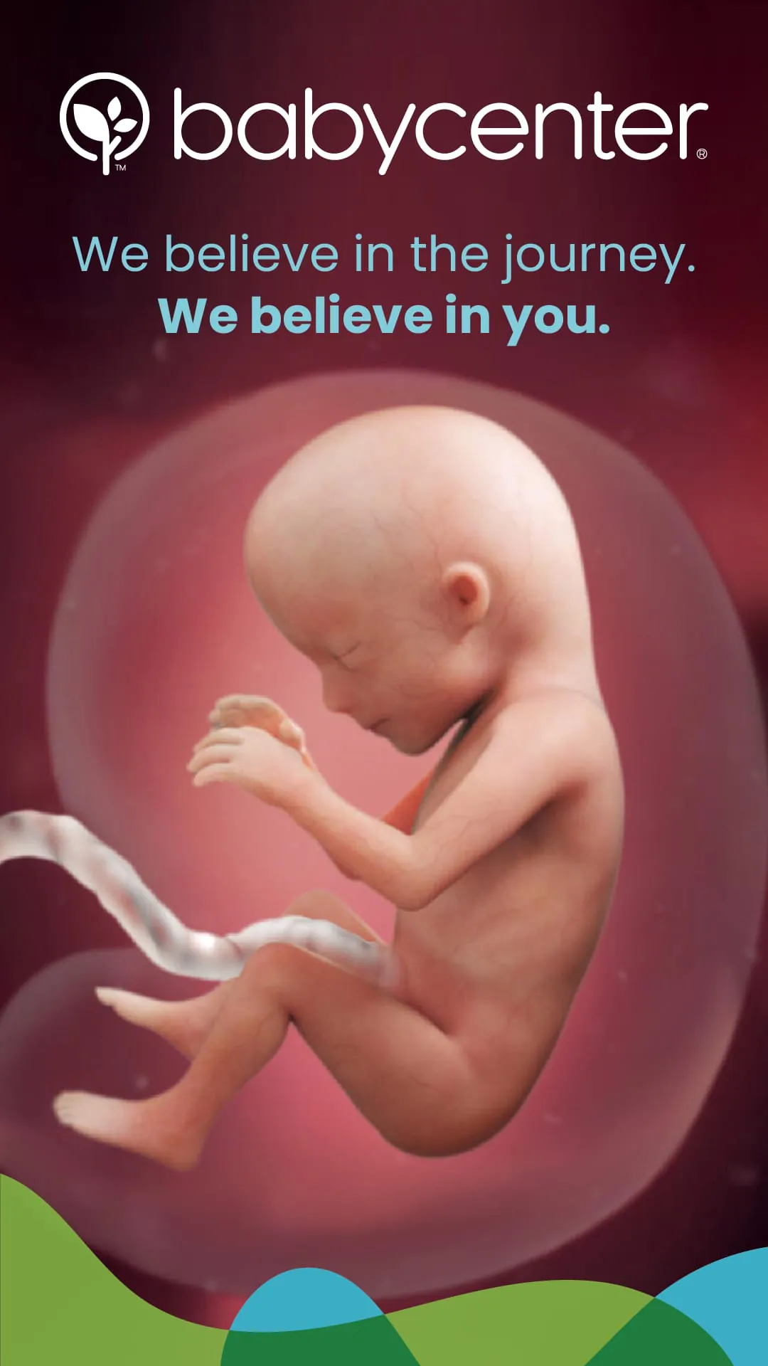 Pregnancy App & Baby Tracker