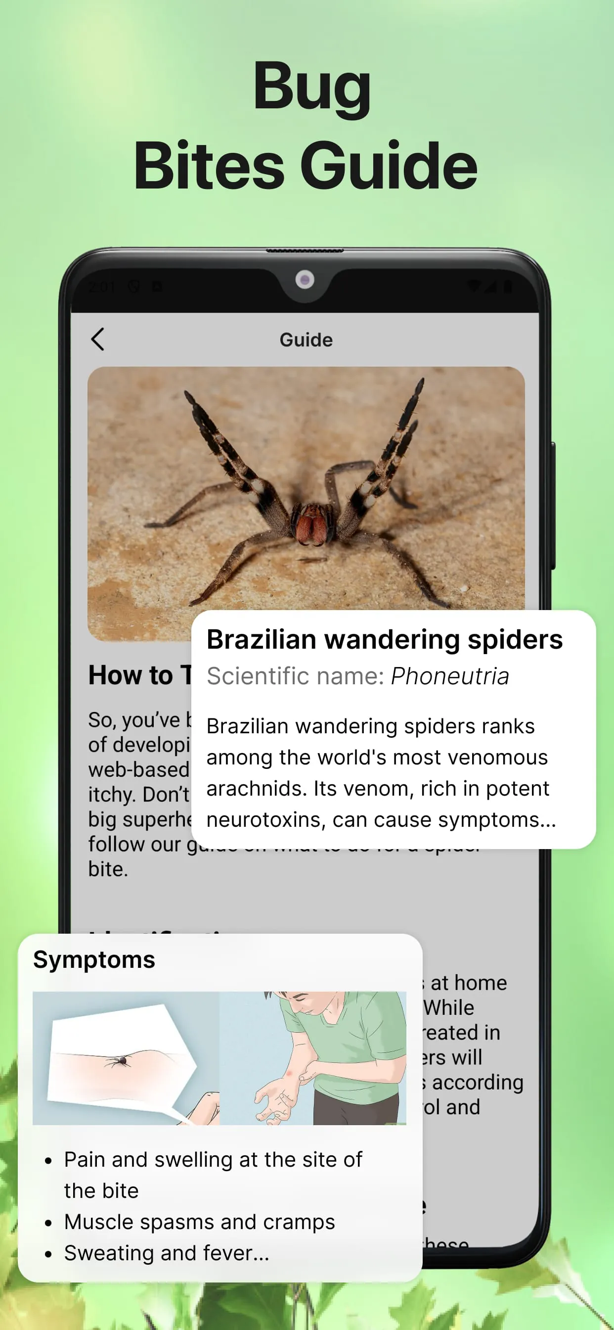 Bug Identifier Bug Finder