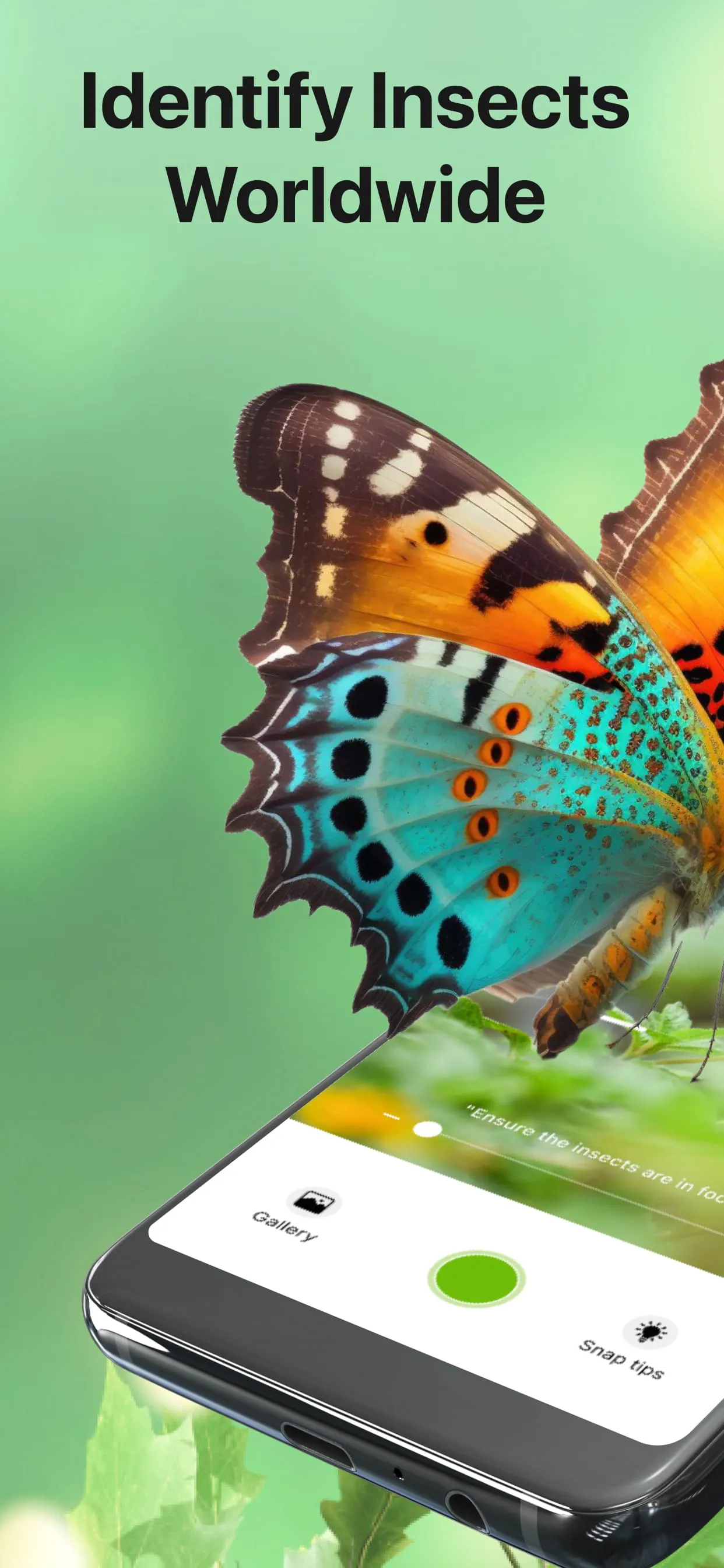 Bug Identifier Bug Finder