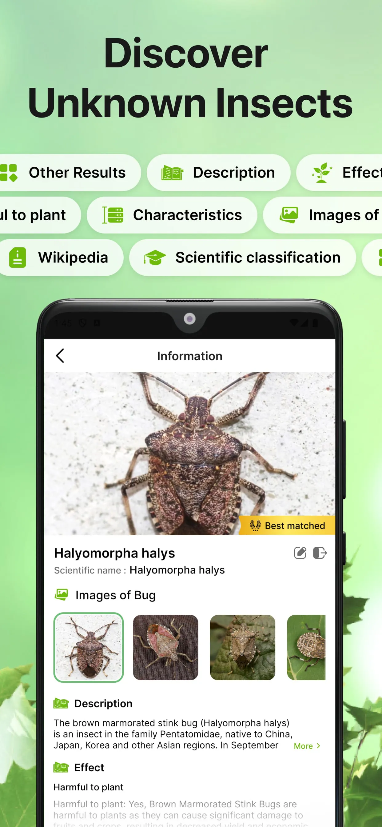 Bug Identifier Bug Finder