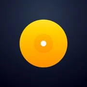 djay - DJ App & Mixer