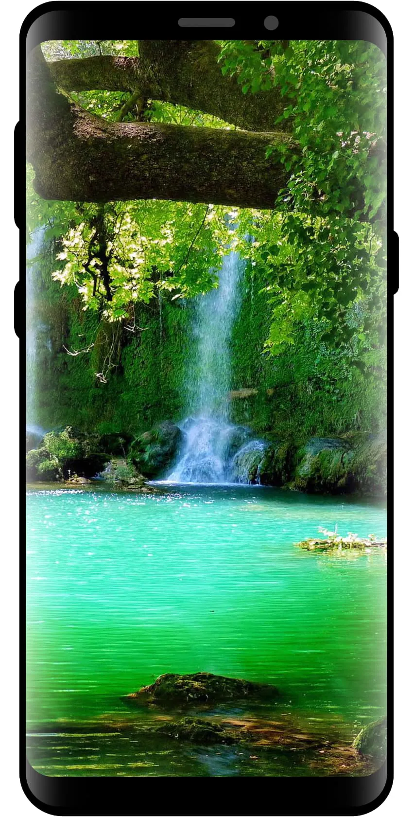 10000 Nature Wallpapers