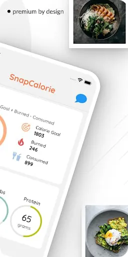 SnapCalorie AI Calorie Counter