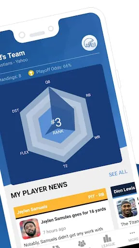 Fantasy Football My Playbook