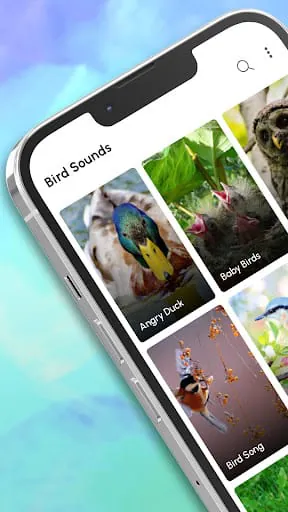 Bird Calls, Sounds & Ringtones