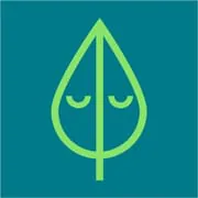 Clear Minds: Meditation, Relax