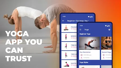 Yoga Daily Workout+Meditation