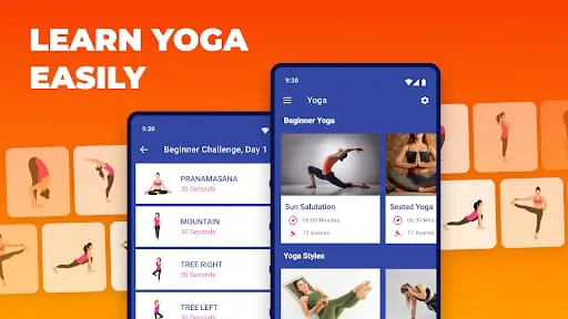 Yoga Daily Workout+Meditation