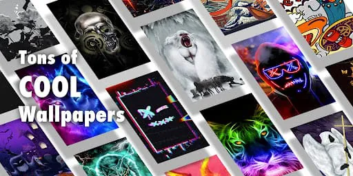 Cool Wallpapers - Live/4D/HD