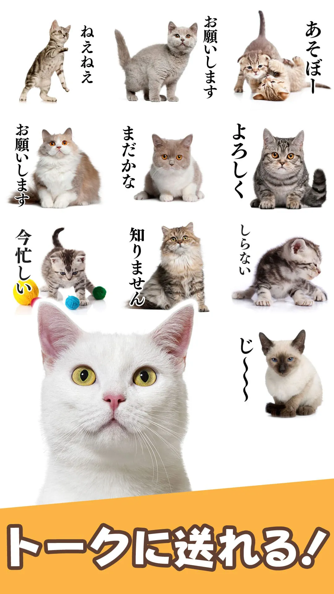 Cat Stickers