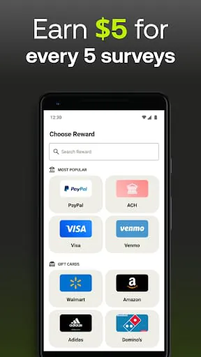 Five Surveys - Earn Money Fast