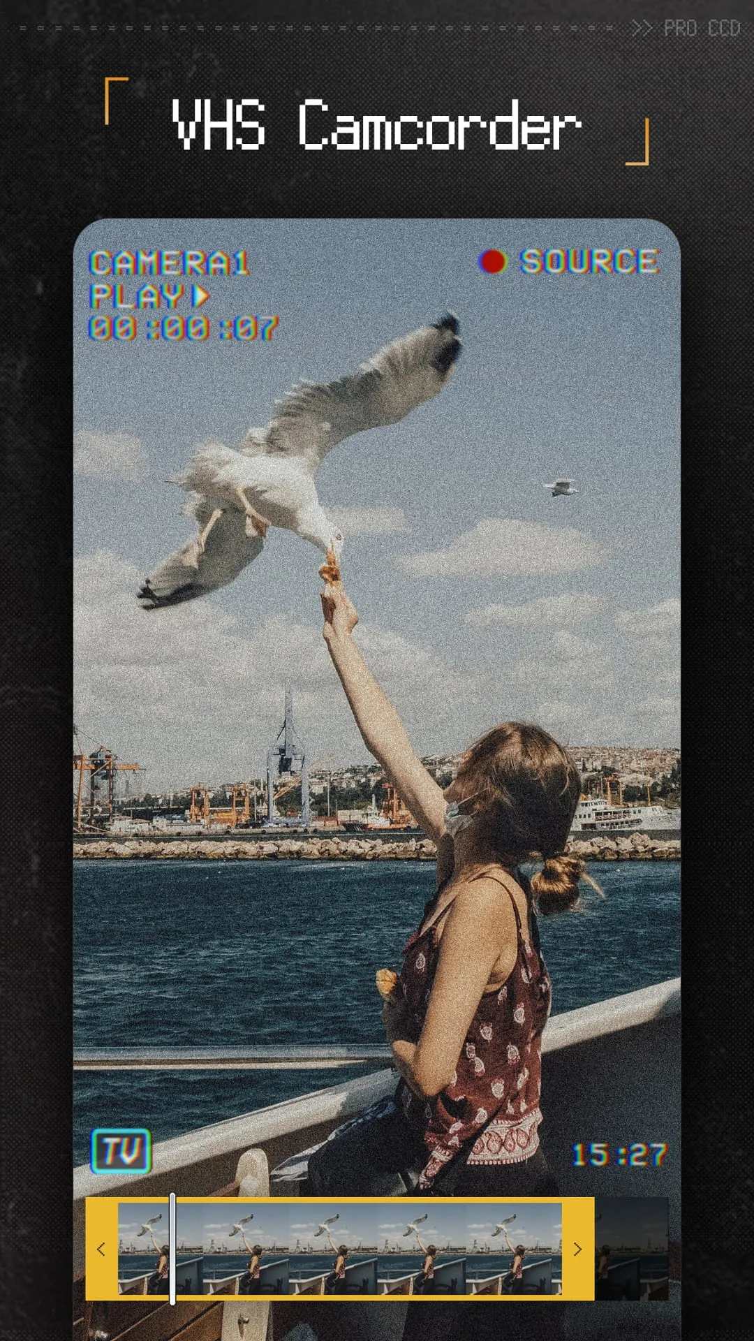 ProCCD - Digital Film Camera