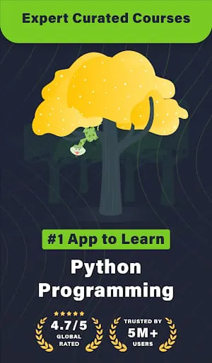 Learn Python