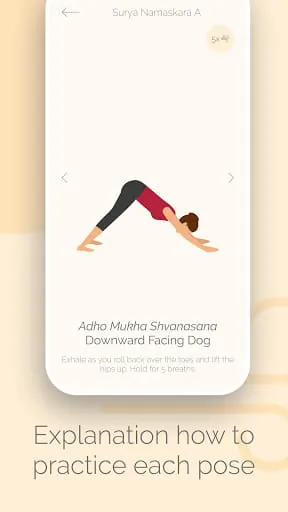 Ashtanga Yoga