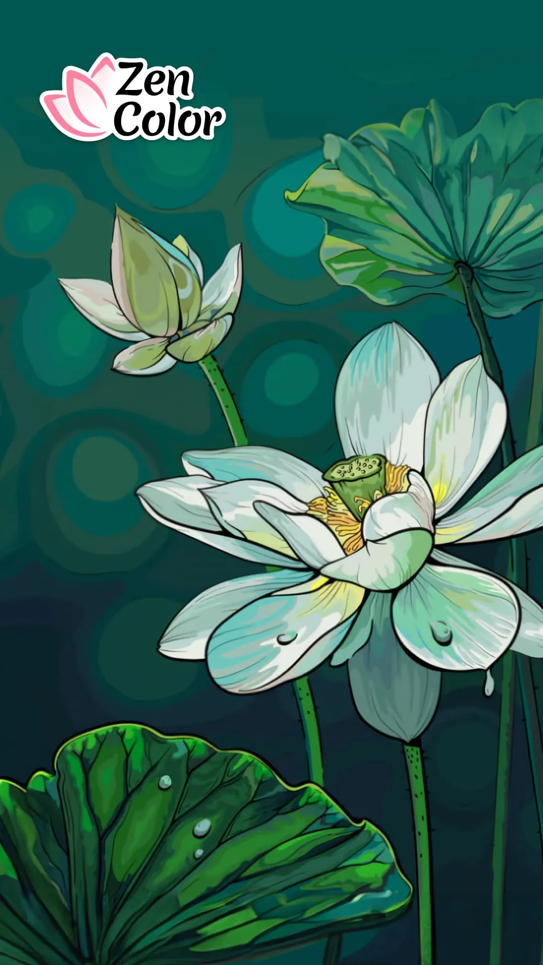 Zen Color - Color By Number