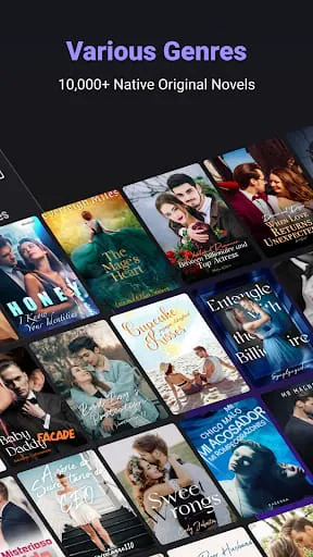 Readom - Where Story Shines