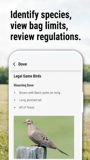 Texas Outdoor Annual