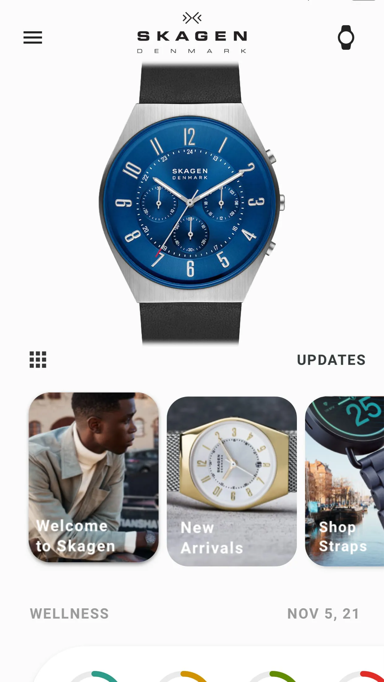 Skagen Smartwatches