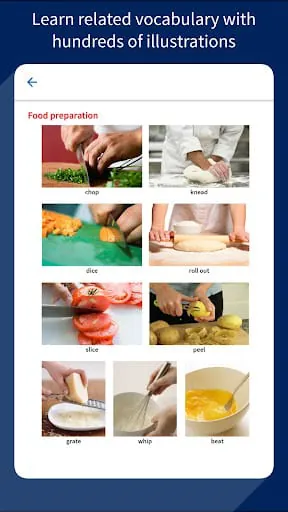 Oxford Advanced Learner's Dict