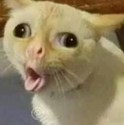 Ida “Snappy or Zook” Nilsson